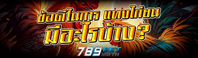 ข้อดีในการ แทงไก่ชน มีอะไรบ้าง?